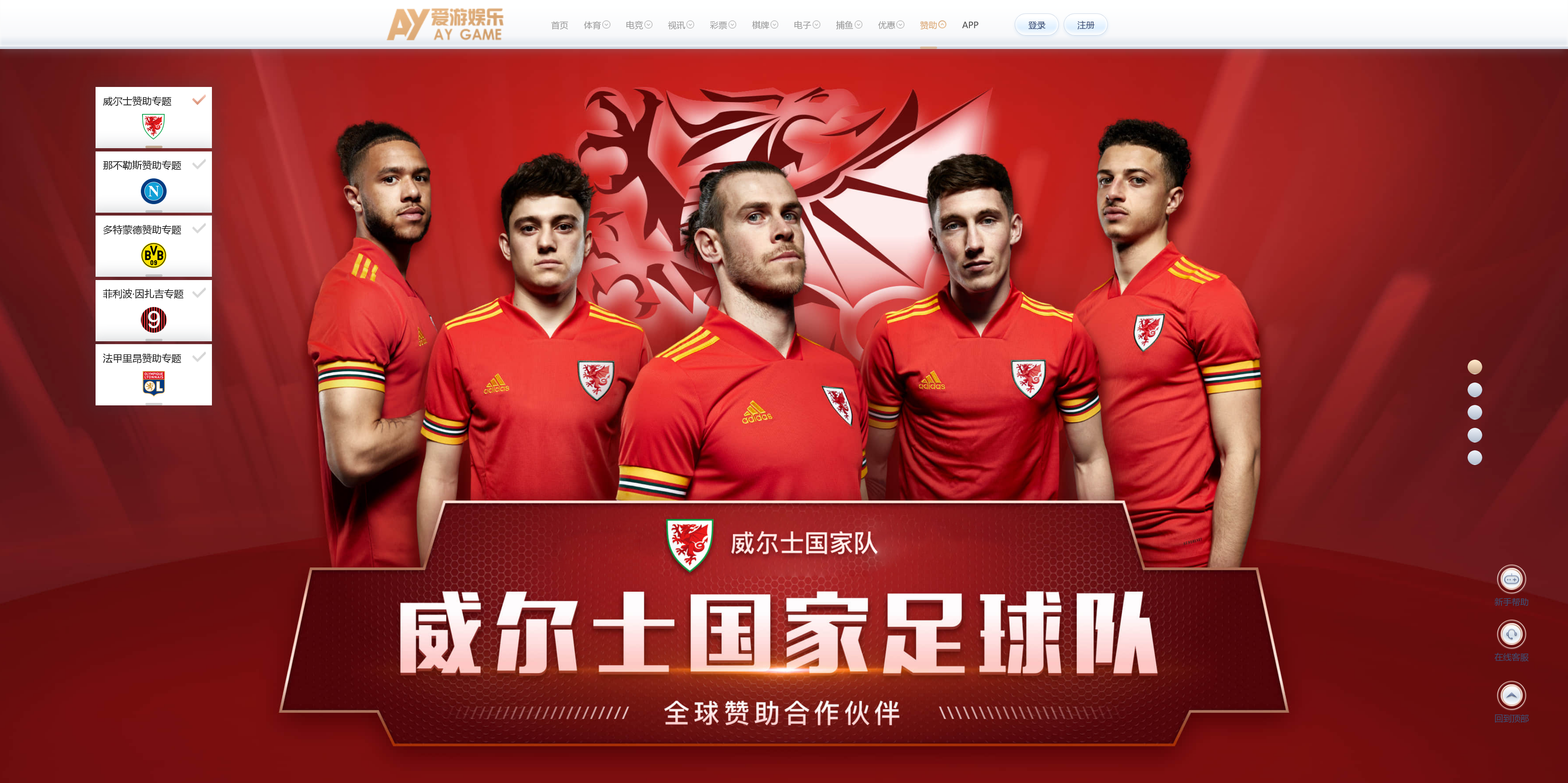 美盛系列包网模板爱游/usdt自动回调+搭建教程插图14