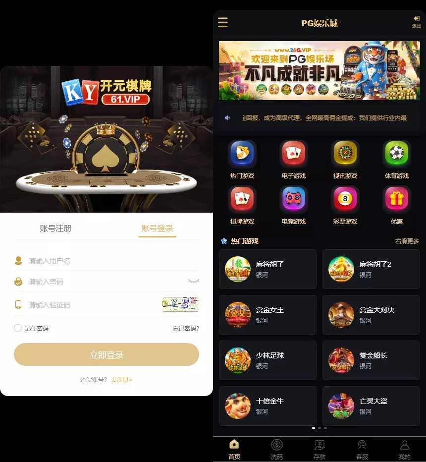二次开发包网系统第三方api接口运营版